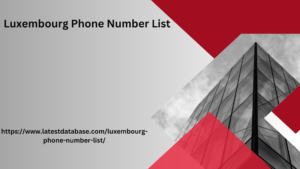 Phone Number List